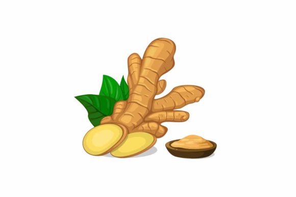 Download Ginger in Slice and Powder Symbol Vector - Powder Collection